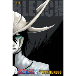 Bleach (3-in-1 Edition), Vol. 14