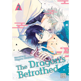 Dragons Betrothed, Vol. 2 pa