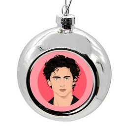 Χριστουγεννιατικη Μπαλα: Timothee Chalamet