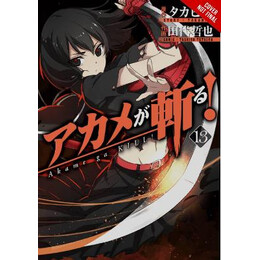 Akame ga Kill!, Vol. 13