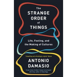 The Strange Order of Things