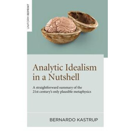Analytic Idealism in a Nutshell