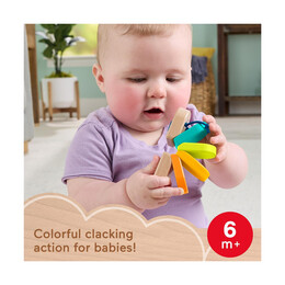 Fisher:price® Ξύλινη Κάμπια (Jcy39)