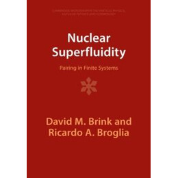 Nuclear Superfluidity
