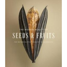 Hidden Beauty of Seeds & Fruits: the Botanical Photography of Levon Biss