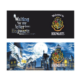 Abysse: Harry Potter - Letter Heat Change mug (460 ml) (Abymuga501)