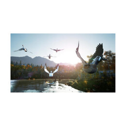 Ps5 Hunting Simulator 2