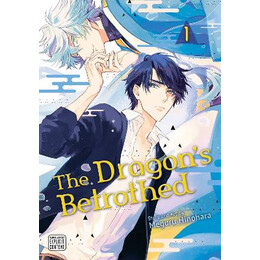 Dragons Betrothed, Vol. 1 pa