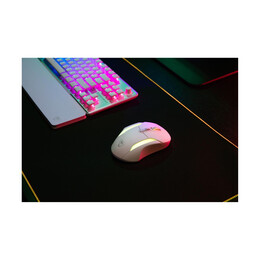 Turtle Beach: Kone ii air Wireless Mouse (Color: White)