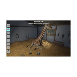 Nsw my vet Practice in the zoo