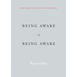 Being Aware of Being Aware
