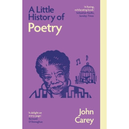 A Little History of Poetry pb