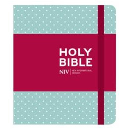 Niv Journalling Mint Polka dot Cloth Bible