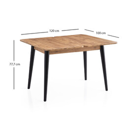 Τραπέζι Dolunay Megapap Επεκτεινόμενο Χρώμα Atlantic Pine - Μαύρο 100x60(120x100)x79,5εκ.