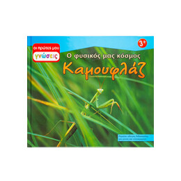 Καμουφλάζ