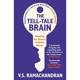 Tell-Tale Brain