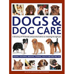 Dogs & dog Care