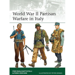 World war ii Partisan Warfare in Italy