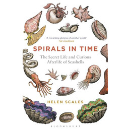 Spirals in Time