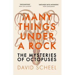 Many Things Under a Rock