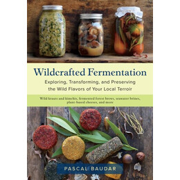 Wildcrafted Fermentation