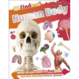 Dkfindout! Human Body