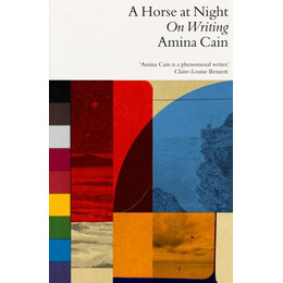 Horse at Night