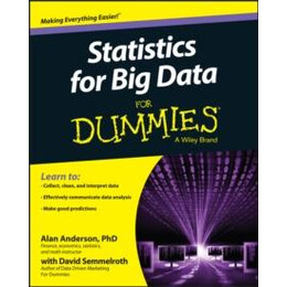 Statistics for big Data for Dummies