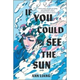 If you Could see the sun