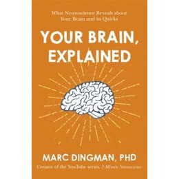 Your Brain, Explained