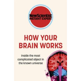 How Your Brain Works