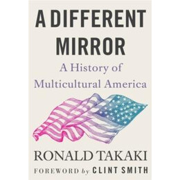 A Different Mirror