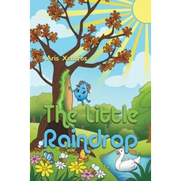 Little Raindrop