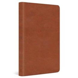 Esv Value Thinline Bible