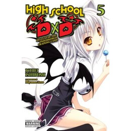 High School Dxd, Vol. 5 (Light Novel)