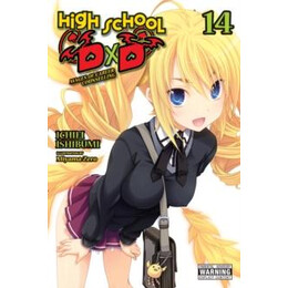 High School Dxd, Vol. 14 (Light Novel)