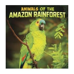 Animals of the Amazon Rainforest