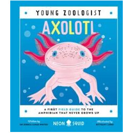 Axolotl (Young Zoologist)