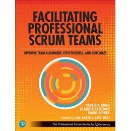 Facilitating Professional Scrum Teams