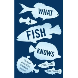 What a Fish Knows