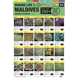 Maldives Marine Life Field Guide