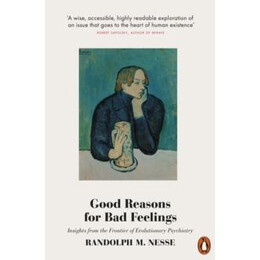 Good Reasons for bad Feelings