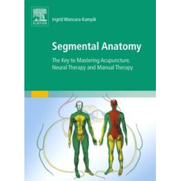 Segmental Anatomy