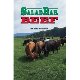 Salad bar Beef