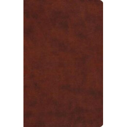 Esv Vest Pocket new Testament With Psalms and Proverbs, red Letter