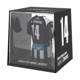 Fancollex: Myjersey - Paok Home 24/25 Zivkovic (53my00003)