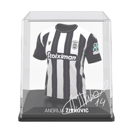 Fancollex: Myjersey - Paok Home 24/25 Zivkovic (53my00003)