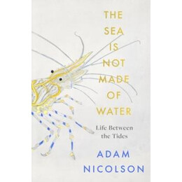 Sea is not Made of Water