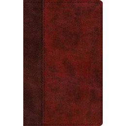 Esv Large Print Thinline Bible
