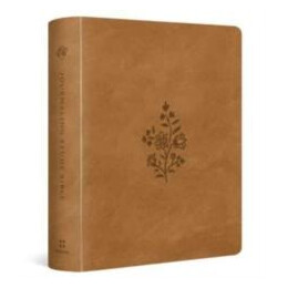 Esv Journaling Study Bible
